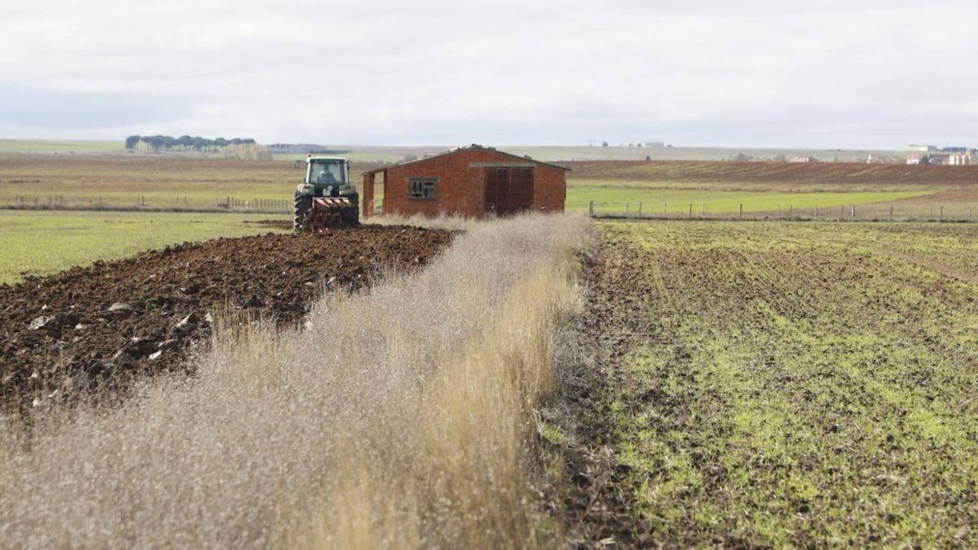 La Junta De Castilla Y Le N Comienza El Pago Del Anticipo De La Pac